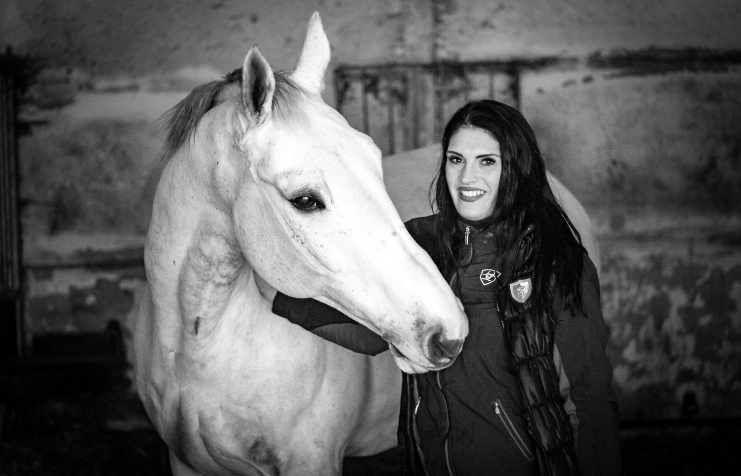 Horse Photography