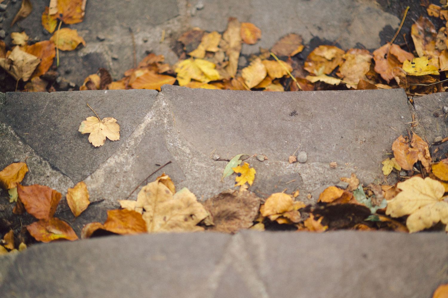 Fallen autumn leaves scattered on concrete steps creating natural pattern.