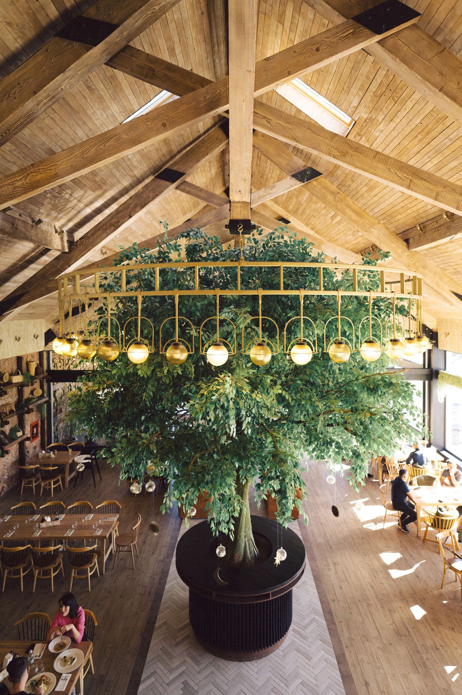 Large indoor tree decorated with hanging lights creates centerpiece in rustic venue with wooden beams.
