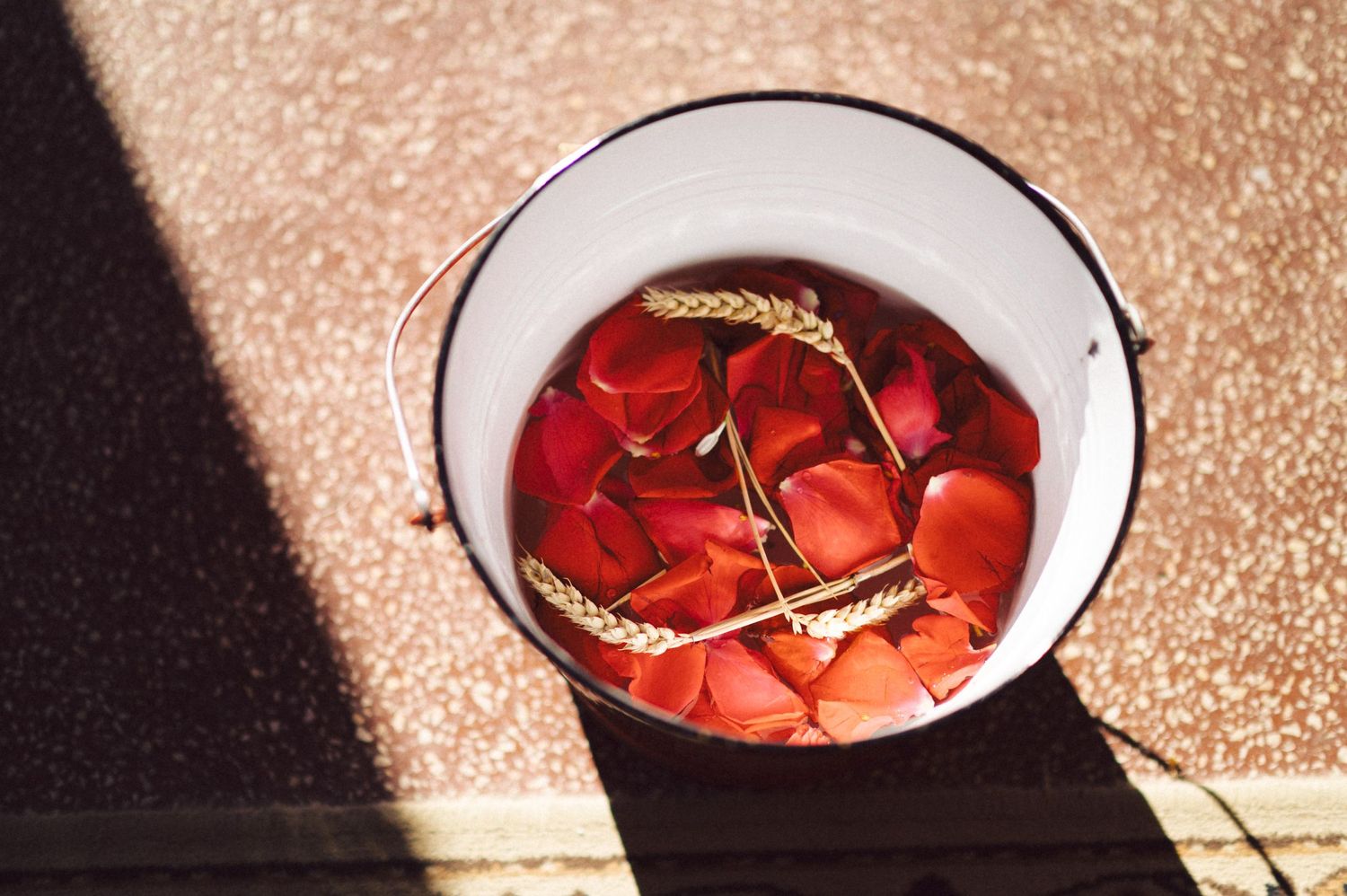 Red rose petals floating in vintage enamel bucket with golden light reflection.