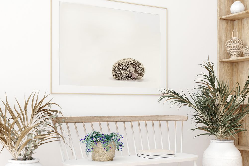Minimalist interior scene with white bench and framed artwork near potted plants.