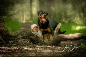 Jason Stuart Photography , West Yorkshire Wedding Photographer-pet photography and family photographer