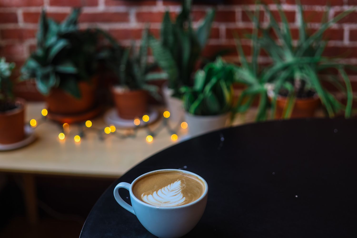 Erie-Photographer-Commercial-Coffee