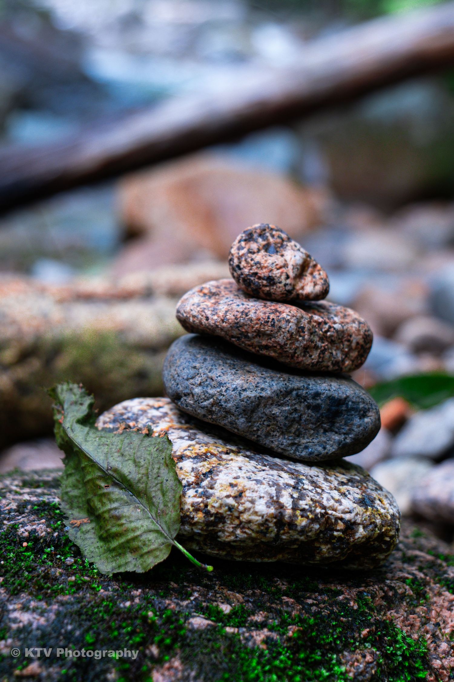 Balanced stack of smooth river stones with a green leaf beside a stream.