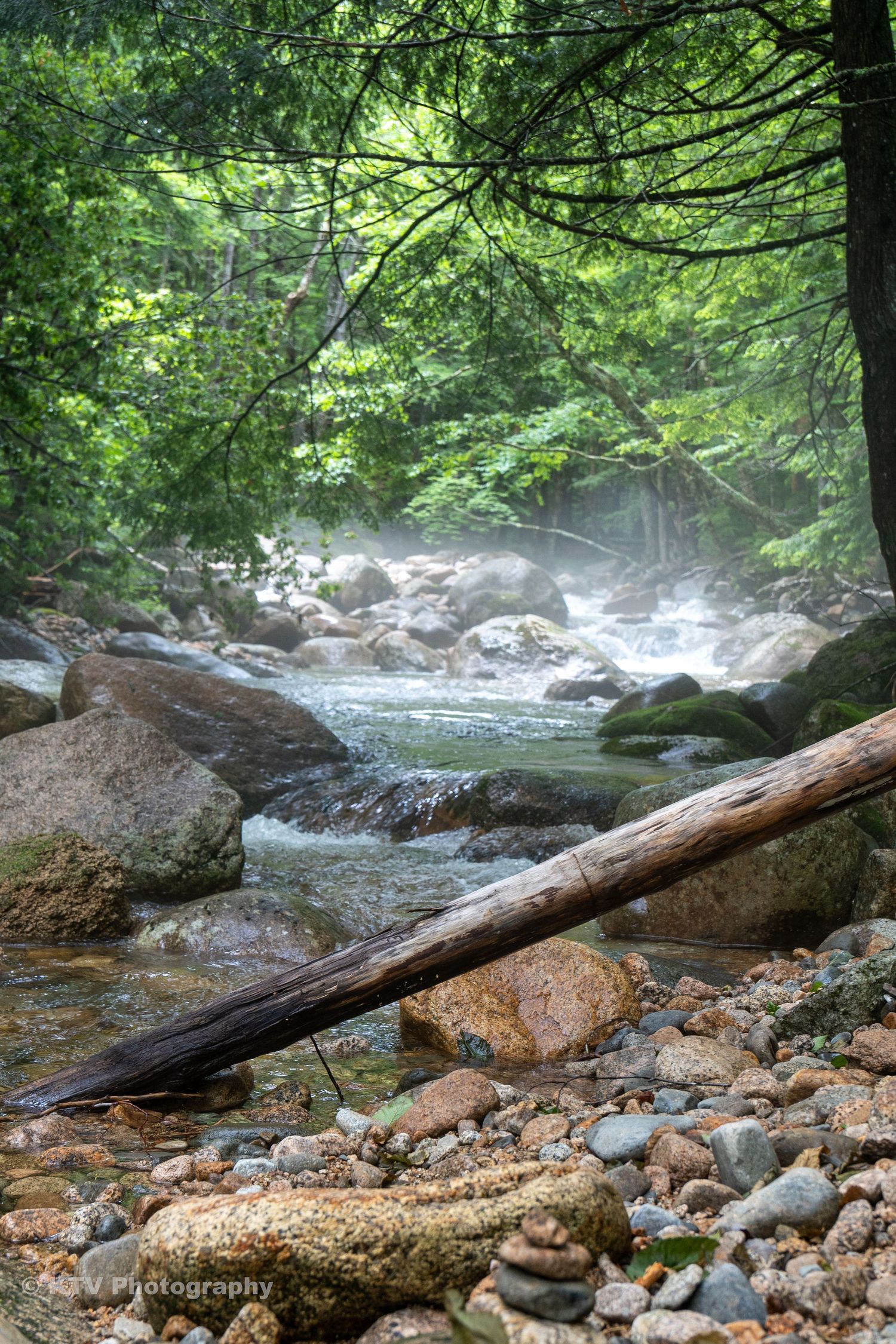 Misty rocky river flowing through a sunlit green forest with a fallen log.