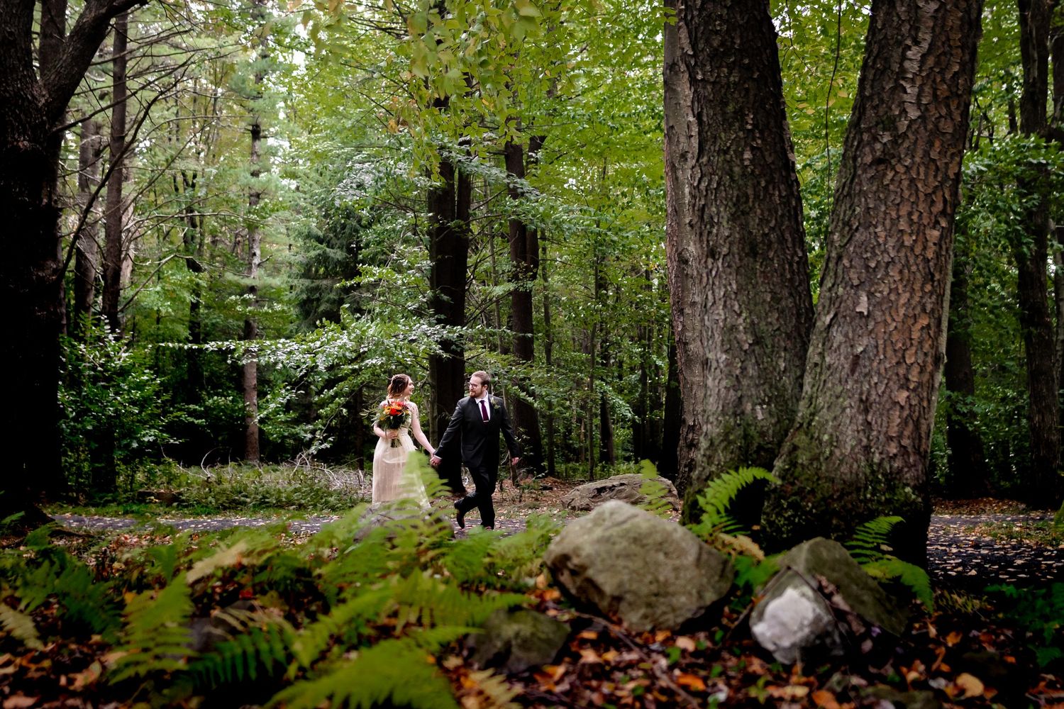 A wooded outdoor wedding ceremony space with wooden benches and tall trees creating a natural cathedral effect.
