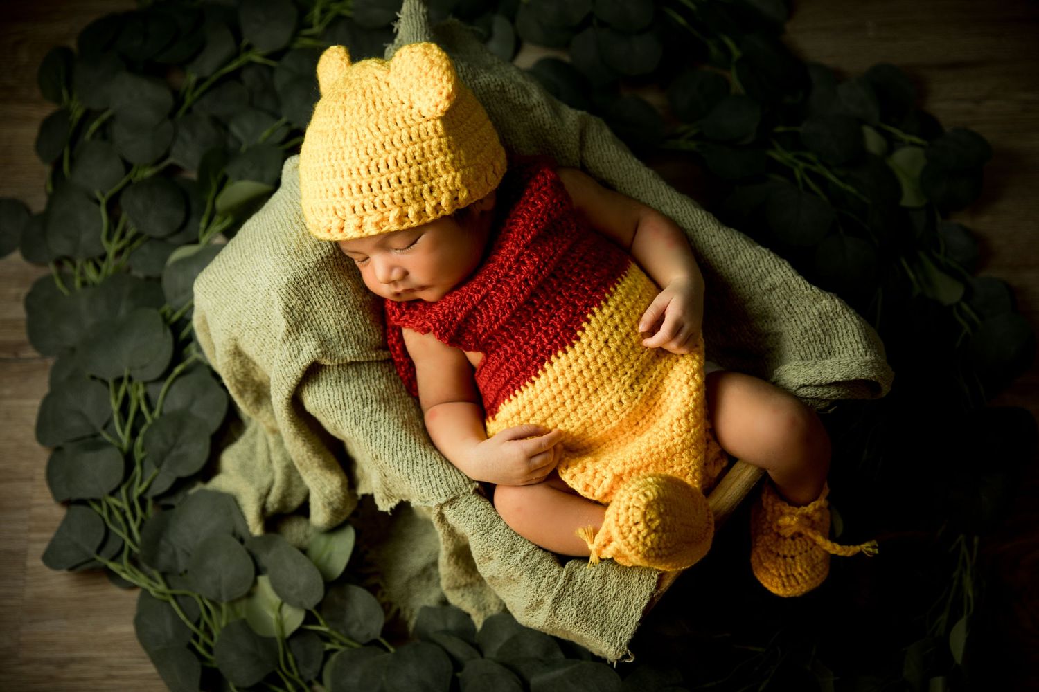 Sleeping newborn in yellow and red knit costume on leafy backdrop.