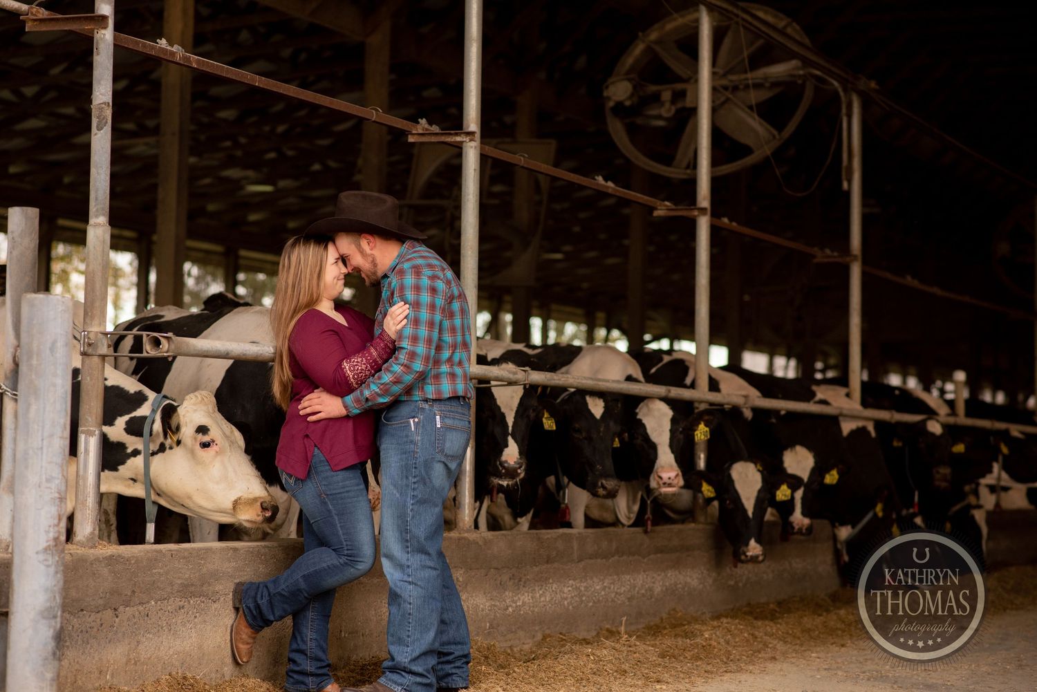 Couple shares romantic moment in dairy barn with Holstein cows visible in background.
