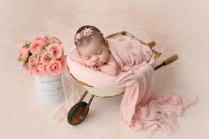 Artistic newborn portrait with baby posed in pink setting with roses.