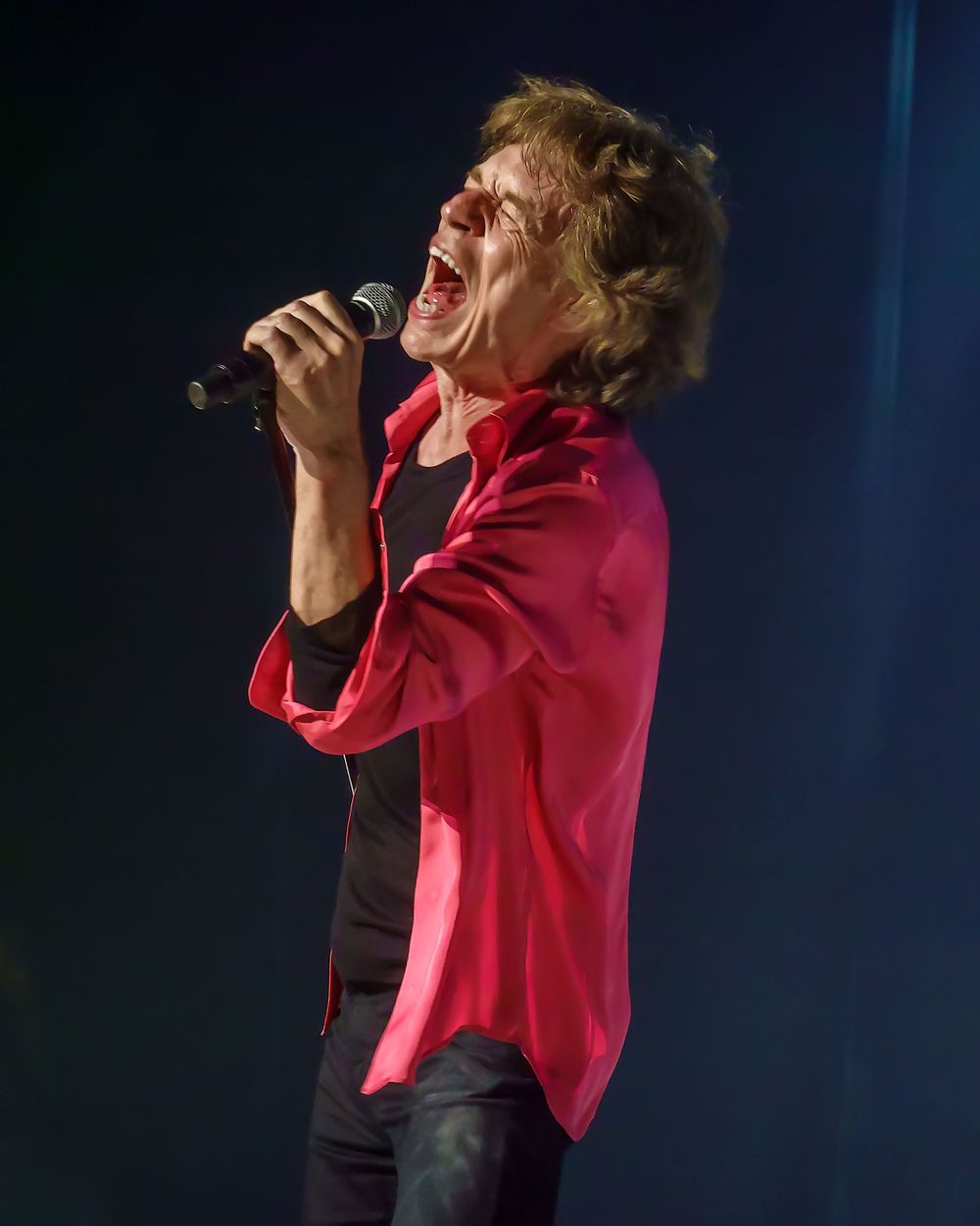 Concert Photography Rolling Stones Mick Jagger - Hollywood FL Nov. 2021
