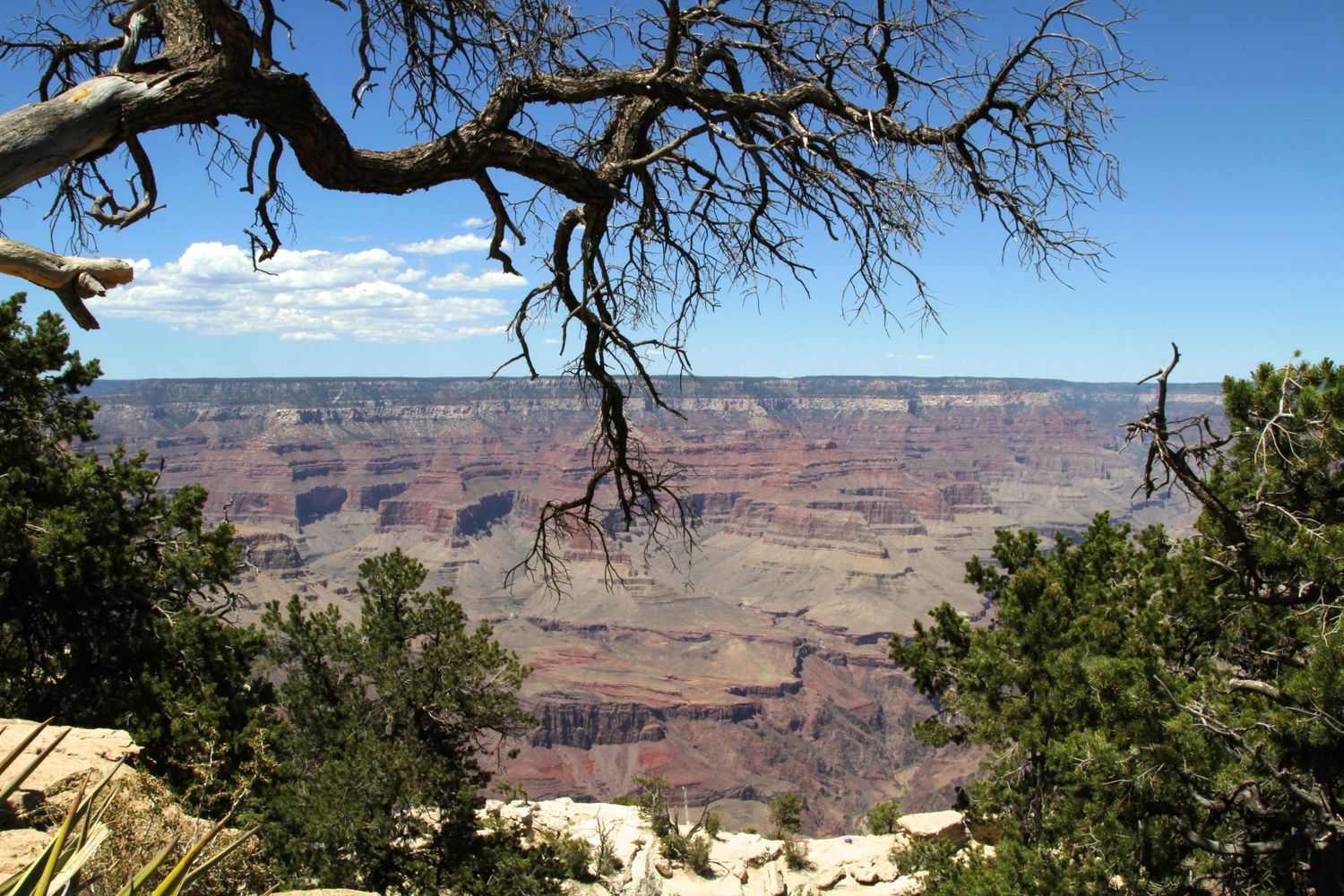 Grand Canyon Southern Rim