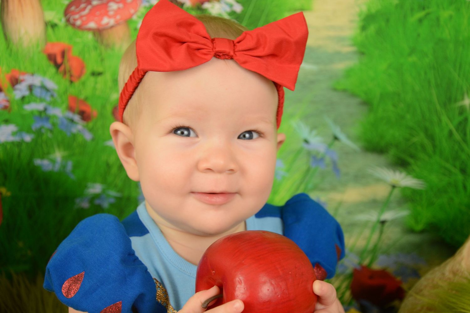 Contact Avonlea Studios