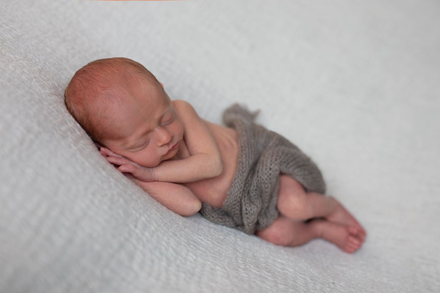 Sleeping newborn baby wrapped in gray blanket posed on white background.