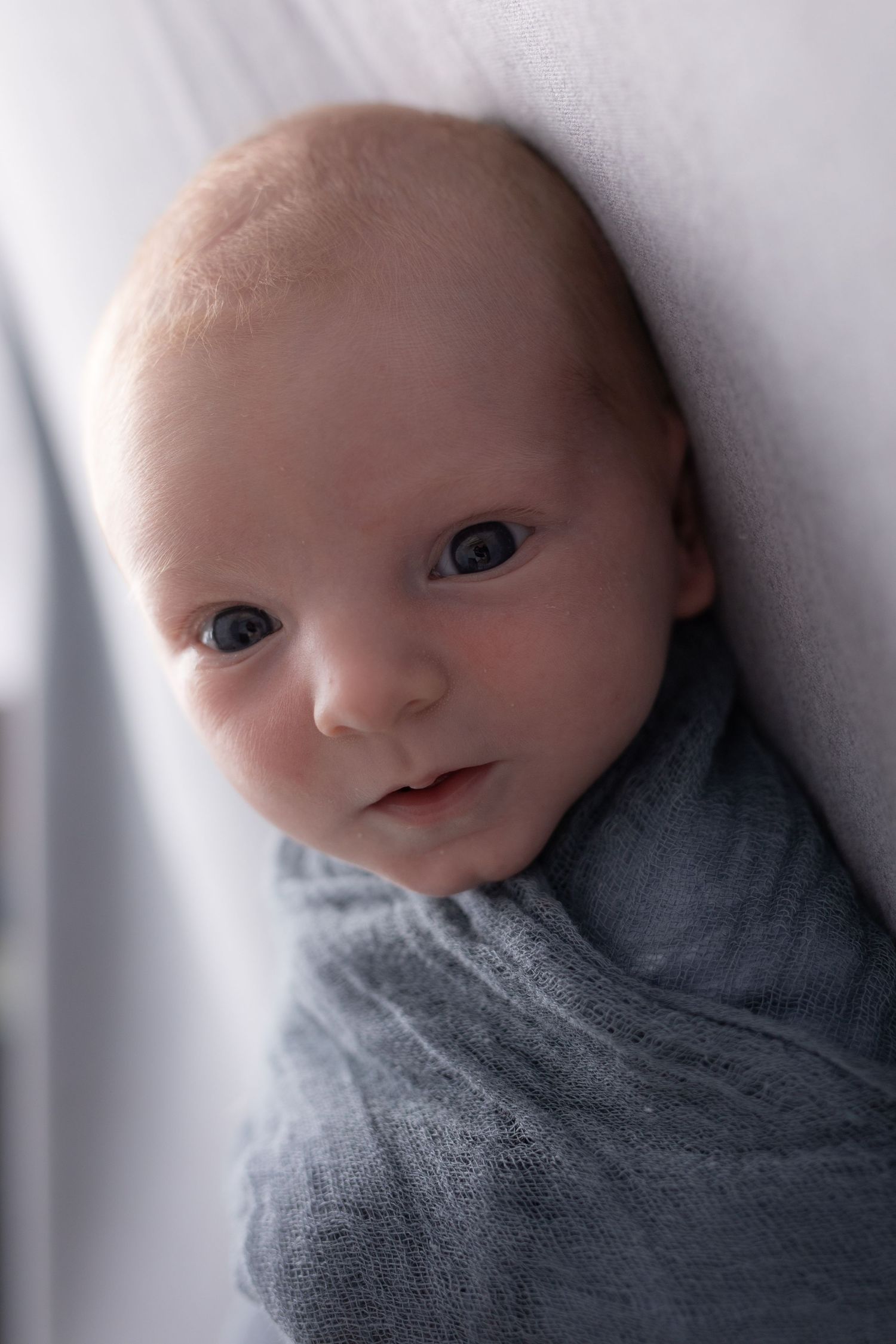 Newborn baby wrapped in gray swaddle smiling softly against white background.