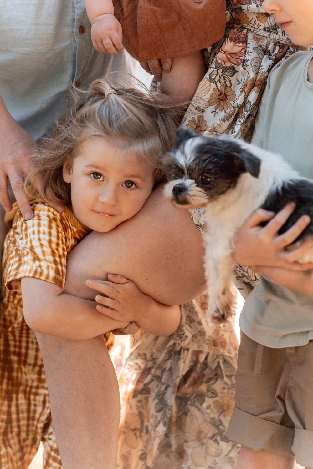 close up photo of a boy and his dog during a family photoshoot in Sydney
