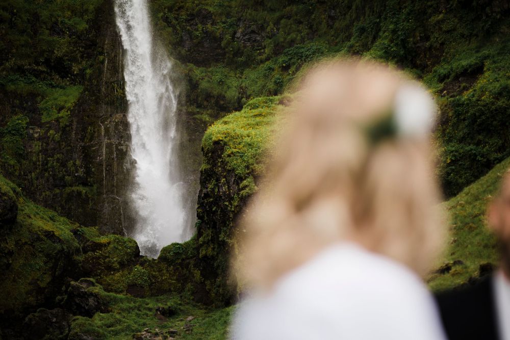 A waterfall cascades down a lush green cliff in the background while a soft blur occupies the foreground.