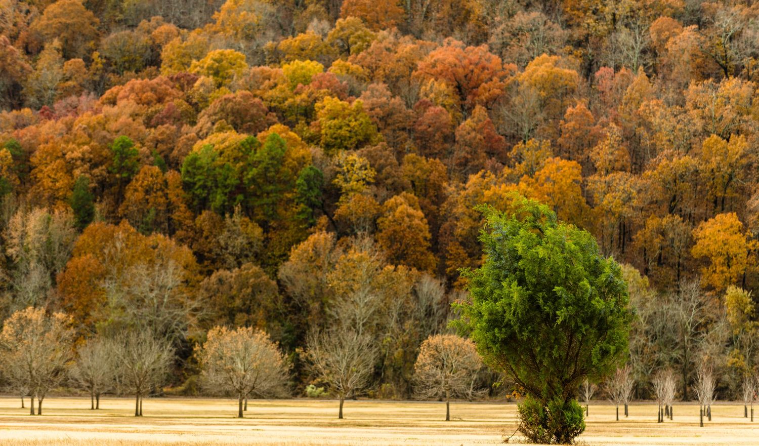 pinnacle mountain state park, photoshoot in the mountains