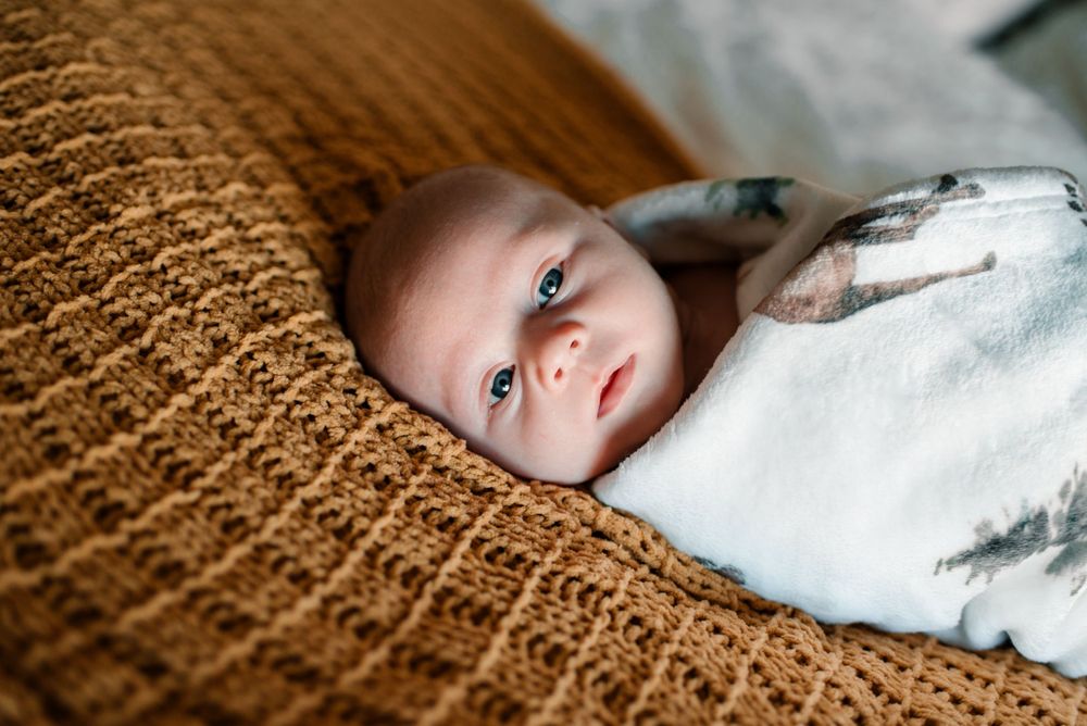 Close-up of an infant lying on a brown knit blanket.