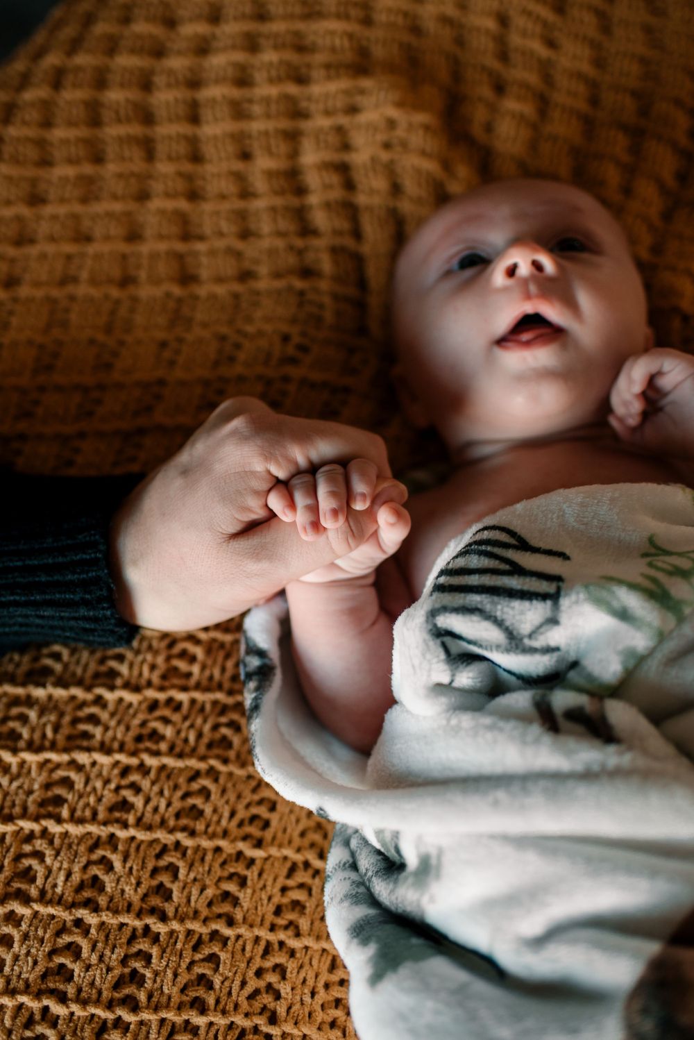 Infant holding hands with someone while lying on a brown knitted blanket.