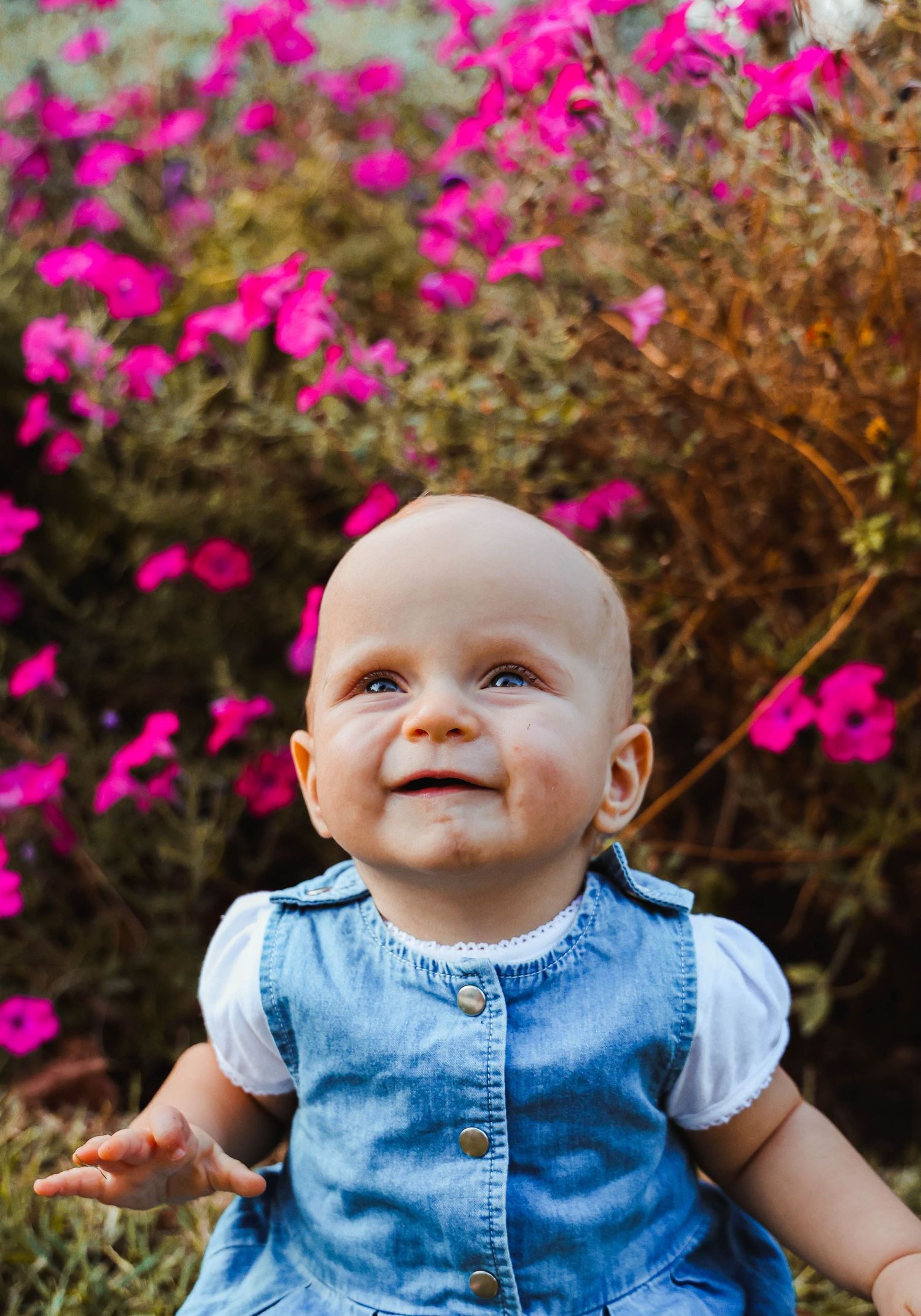 Baby in denim dress smiling against vibrant pink flowers in garden setting.