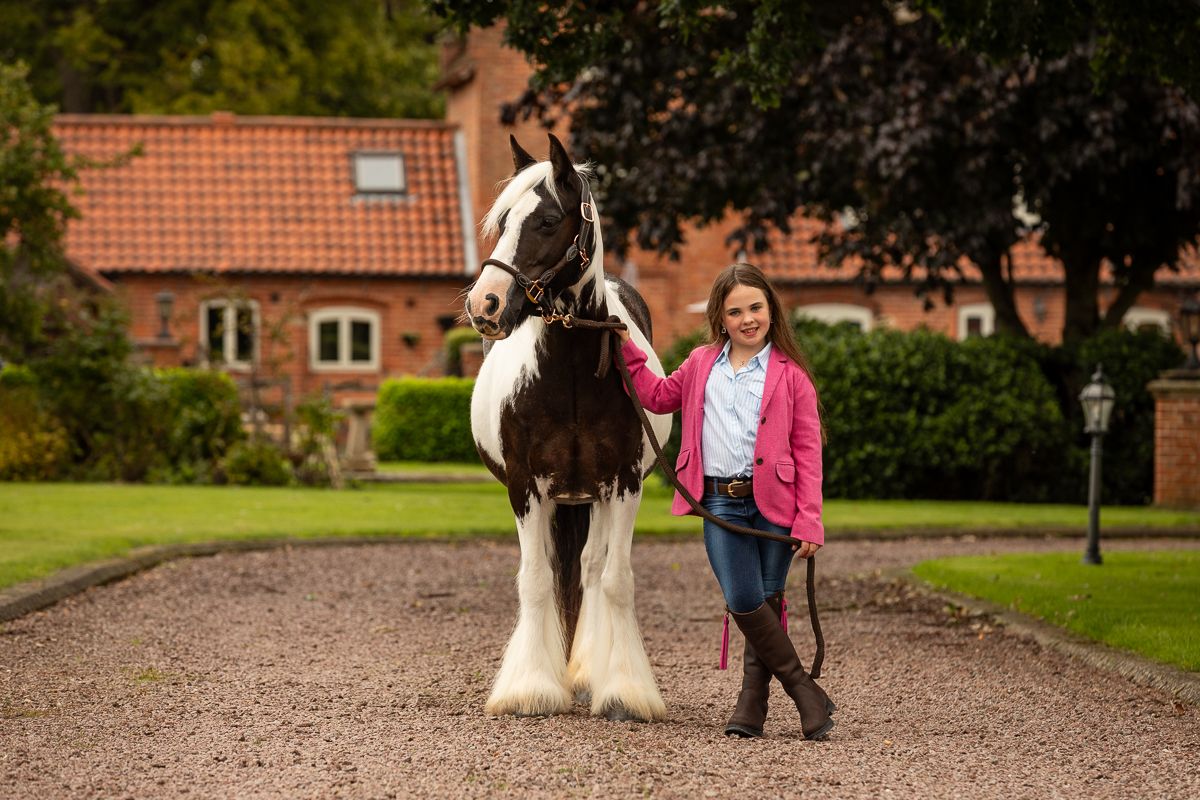 A large black and white draft horse stands on a path with someone in a pink jacket near a brick building.