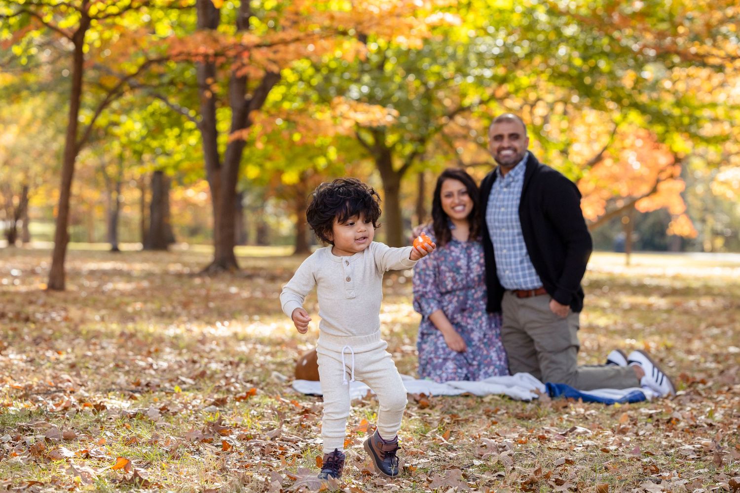 st. louis family photographer carly scaduto photography