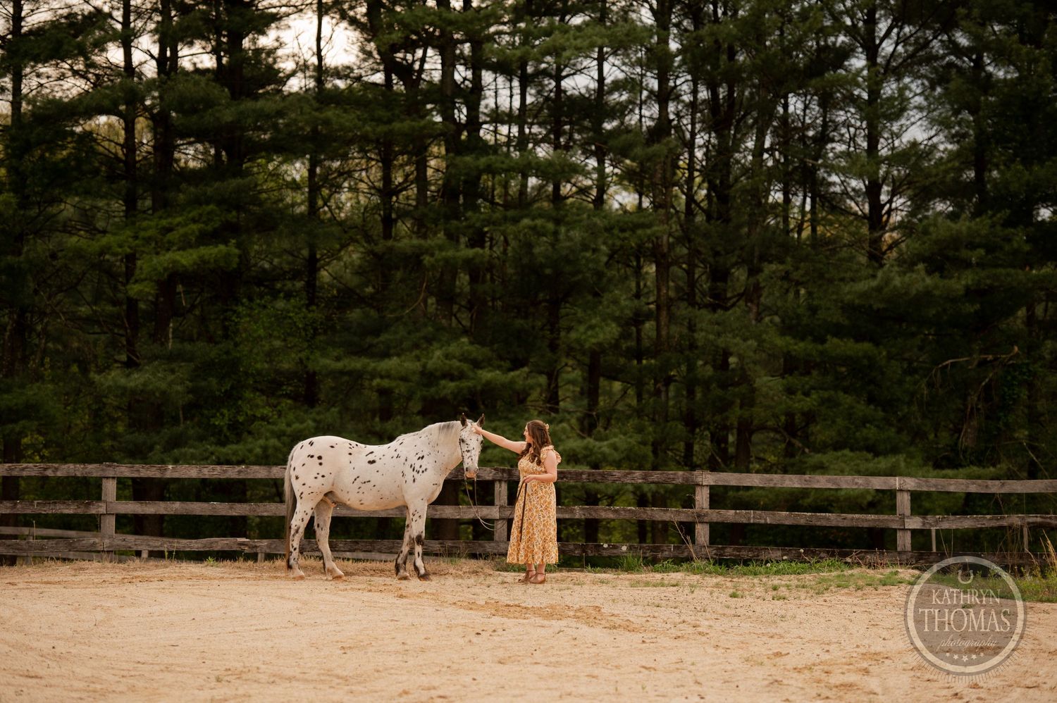 A spotted white horse and companion share a moment in a rustic arena with pine forest backdrop.