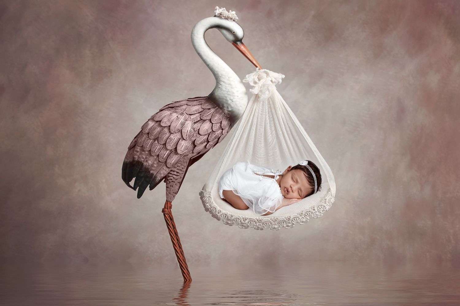 Georgetown TX Newborn Photographer, Cedar Park Tx Studio Newborn Photos, Leander Tx Newborn Photographer