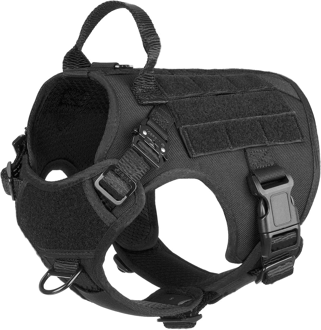 Harness
