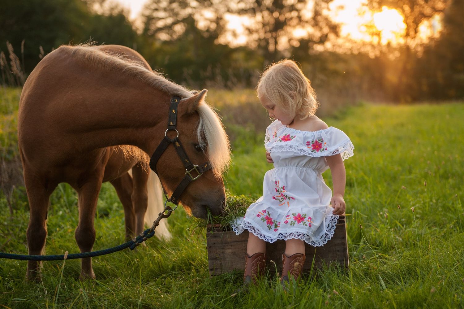 miniature horse and little girl, Vermont family photographer