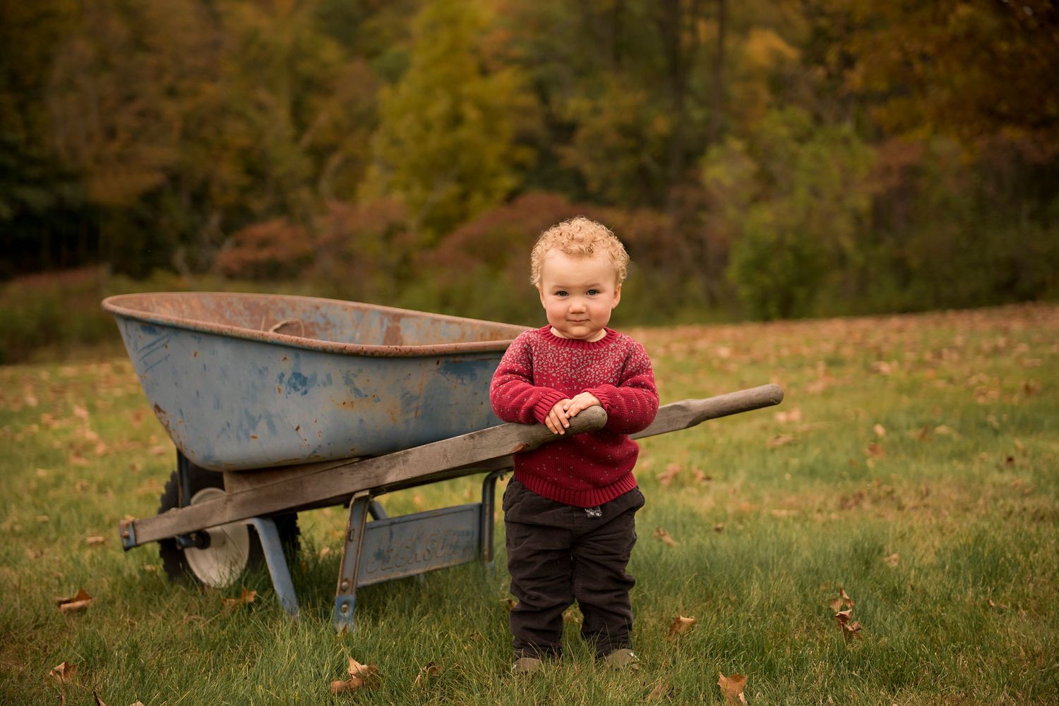 little boy, wheelbarrow, vermont family photographer