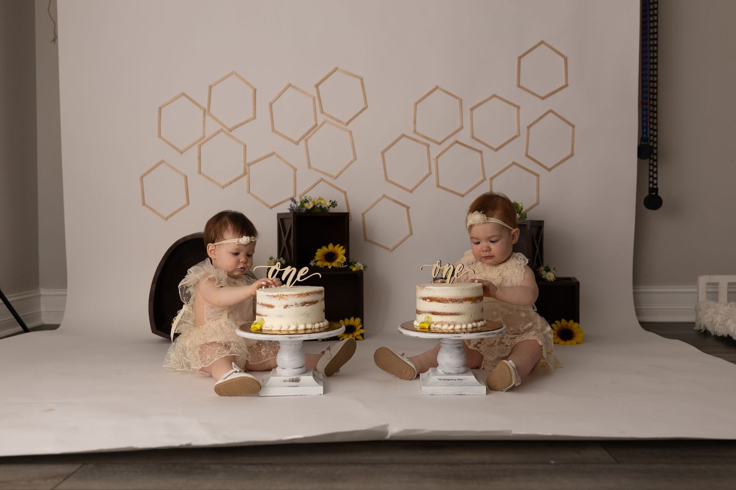 Twin babies in matching outfits sit with individual cakes against geometric honeycomb backdrop.