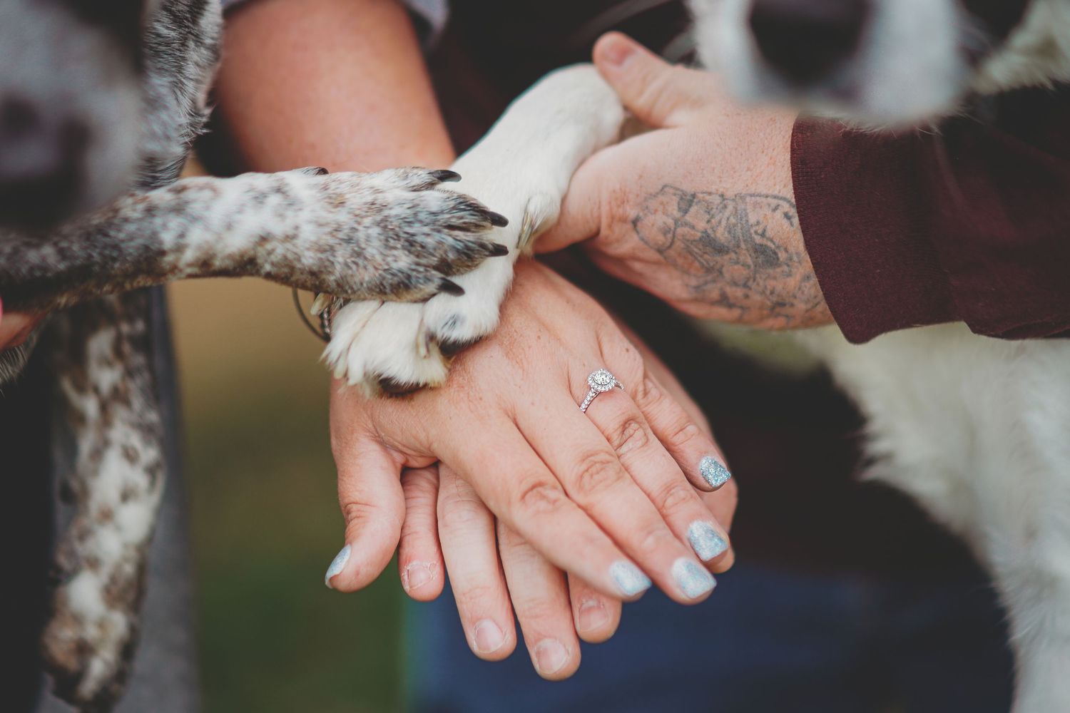 engaged couple with dog paw