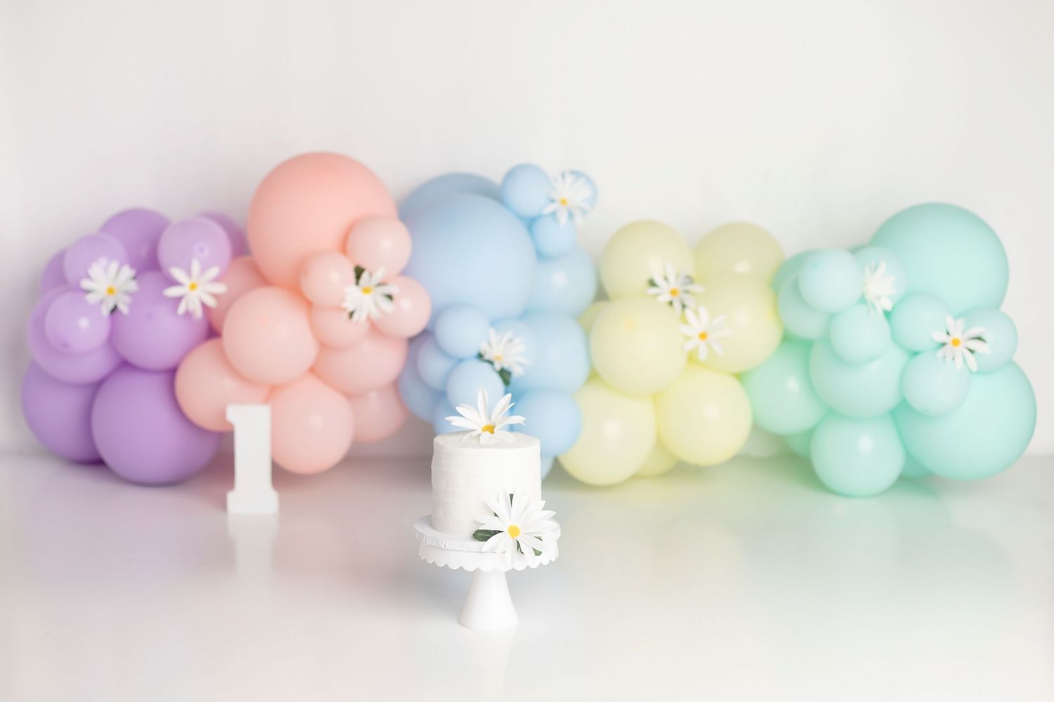 first birthday photoshoot