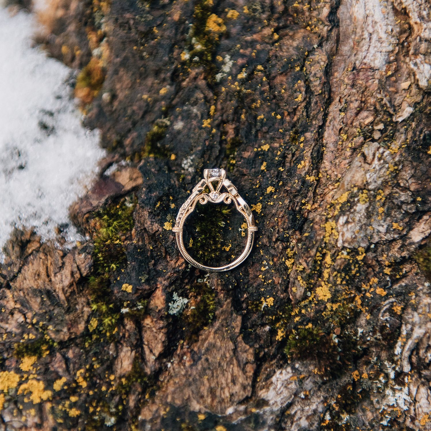 A sparkly engagement ring photographed on textured bark with snow in the background.