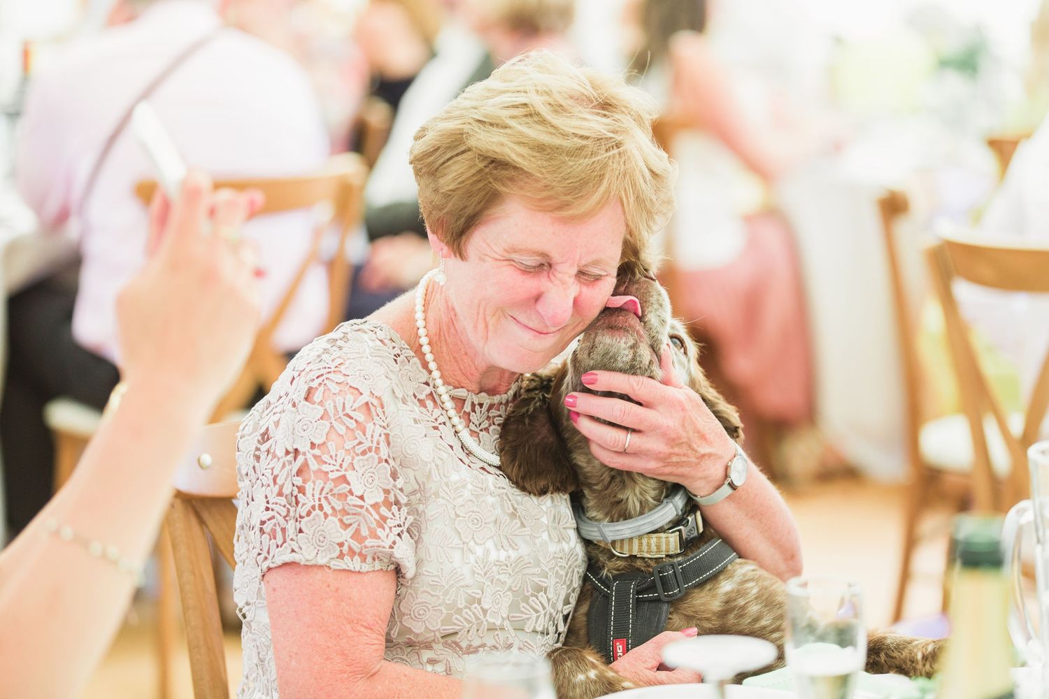 Hayley Elizabeth Photography Dogs at weddings spaniel giving bride's mum a kiss in speeches at festival cotswolds