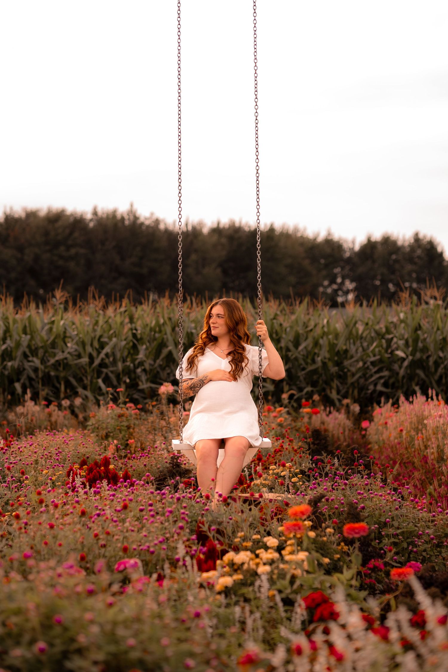 A swing hangs in a garden filled with vibrant red and orange wildflowers at golden hour.