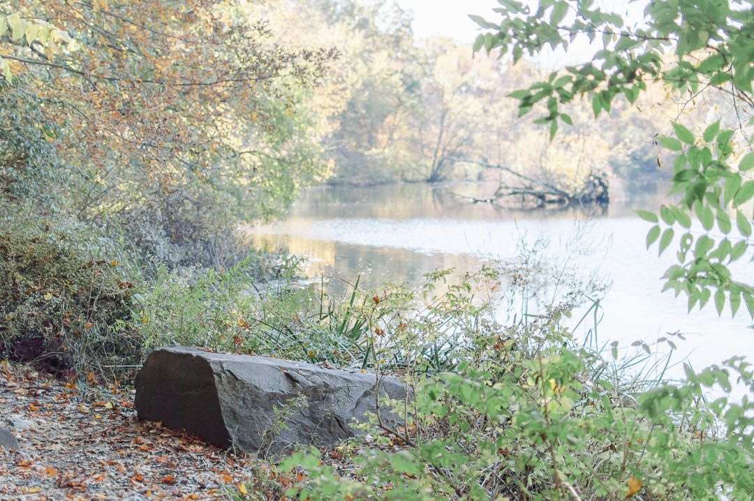 Large stone boulder beside a misty calm lake surrounded by autumn trees and lush vegetation.