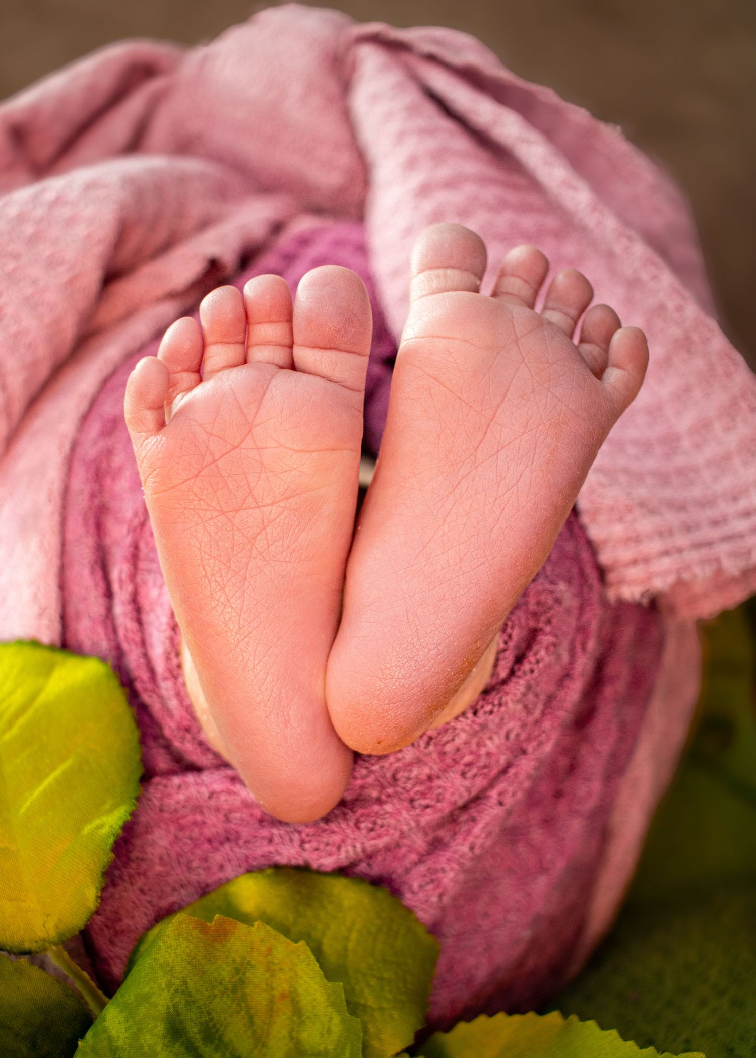 Close-up of tiny baby feet against pink and green fabric background.