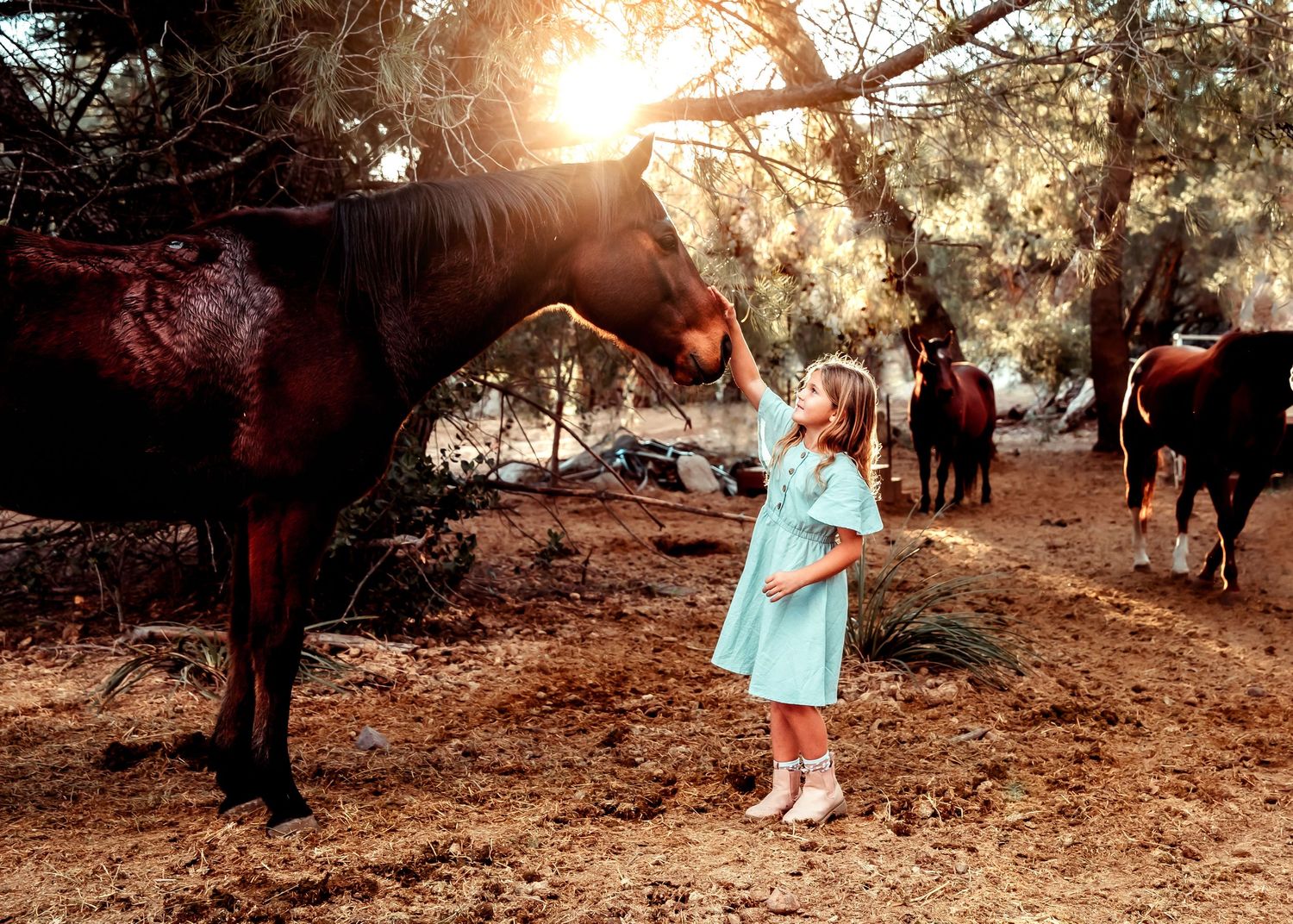 family, horse photography