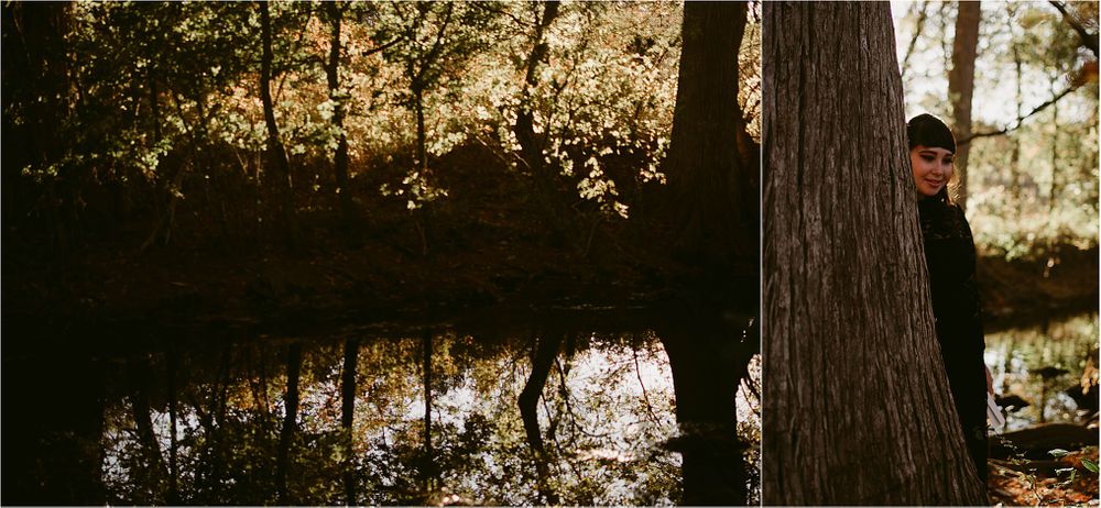 A moody forest scene with reflections in water and silhouettes against trees at sunset.