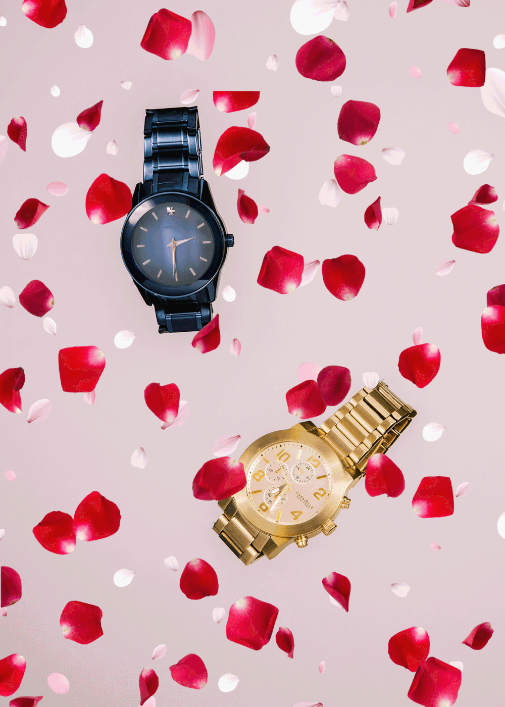 Two elegant watches surrounded by scattered red rose petals on pink background.