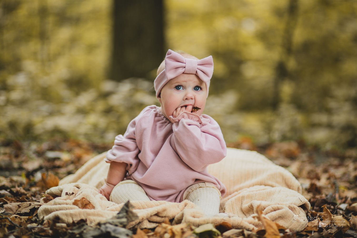 6 month old infant girl in pink on blanket amongst fall leaves in wooded area.