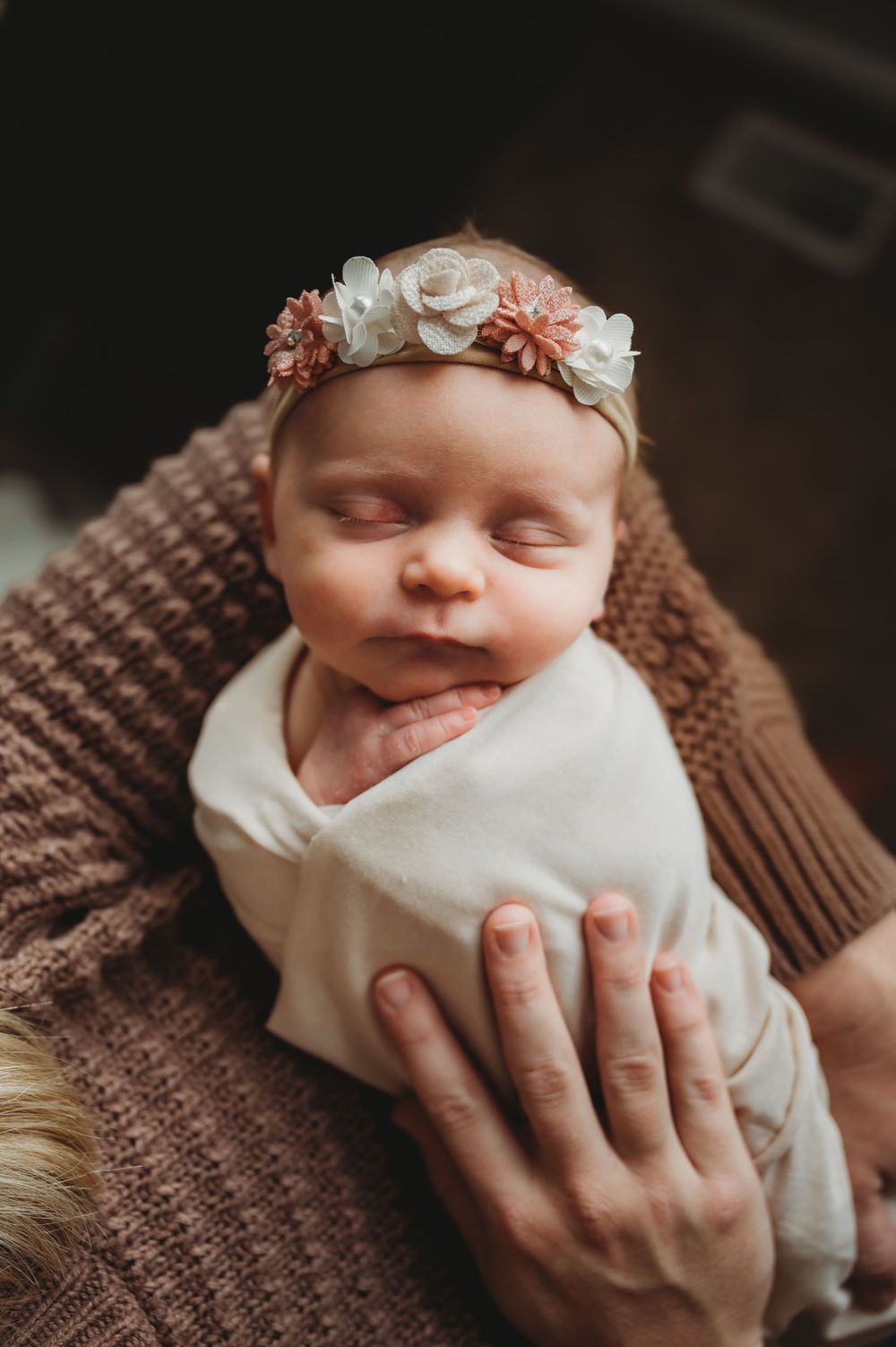 Newborn Photographer in the Twin Cities Area