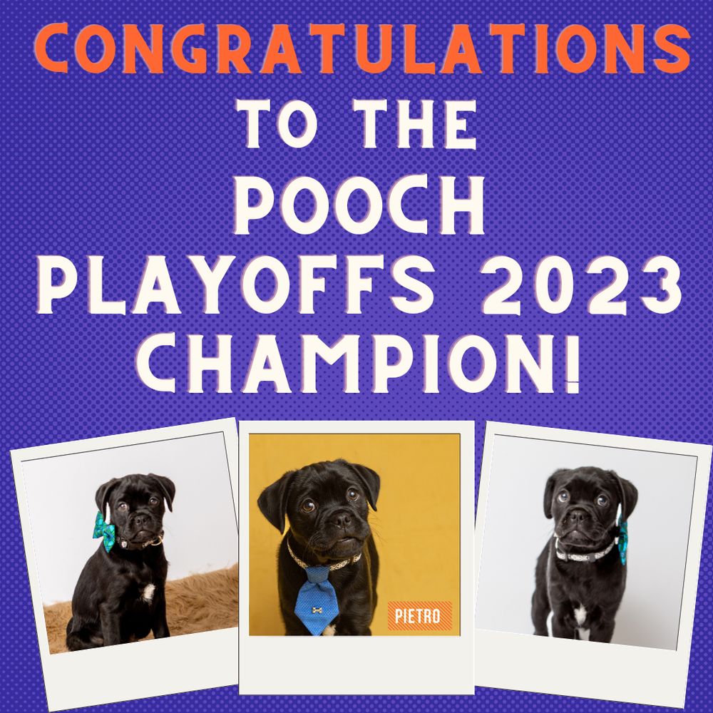 Congratulations announcement for the Pooch Playoffs 2023 Champion featuring black dog Pietro.
