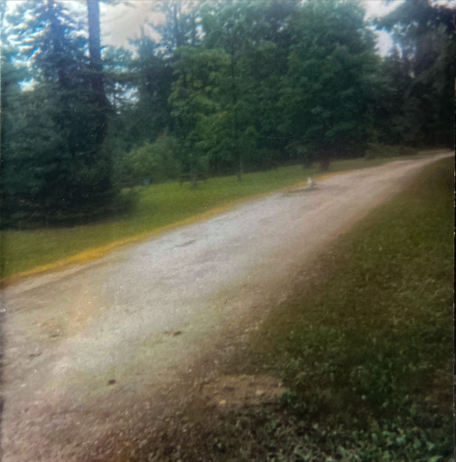 Retro square photograph of dirt path taken on film