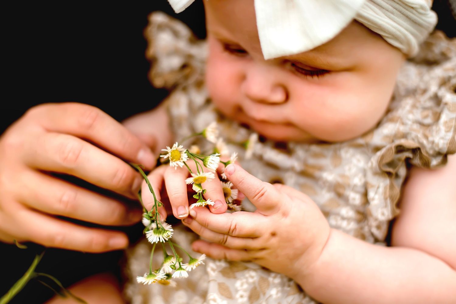 Small hands gently holding delicate white wildflowers.