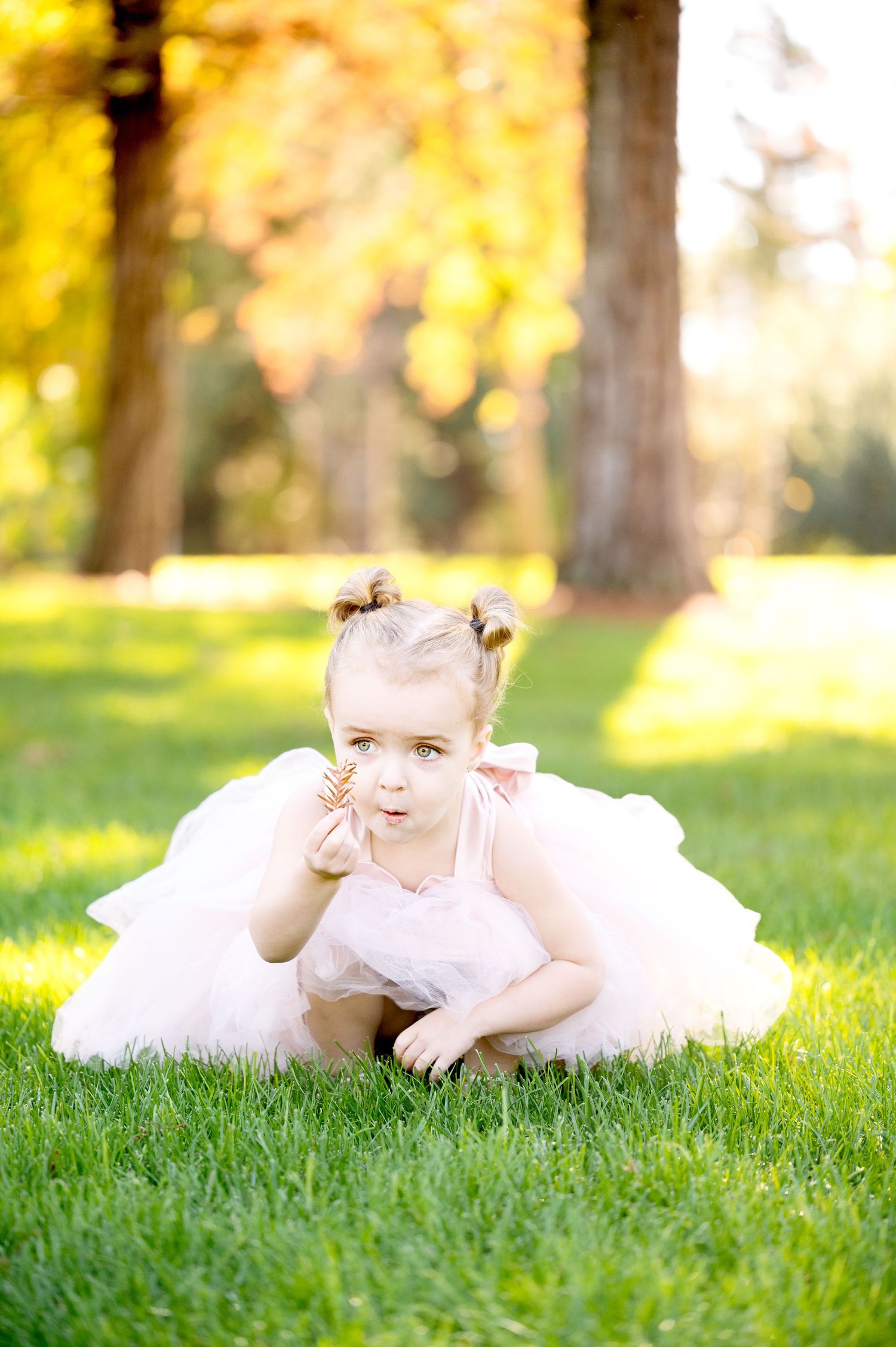 Playful moment captured on green grass with sunlit trees in autumn background.