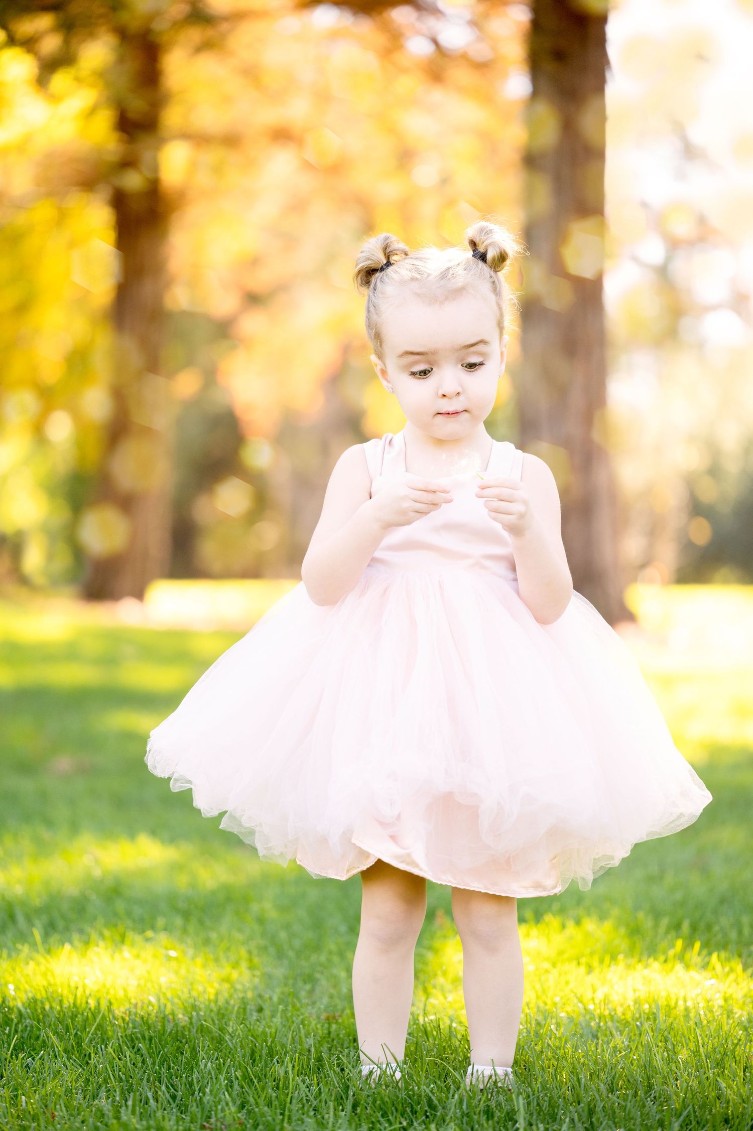 Child in tulle dress standing on grass in golden sunlight.