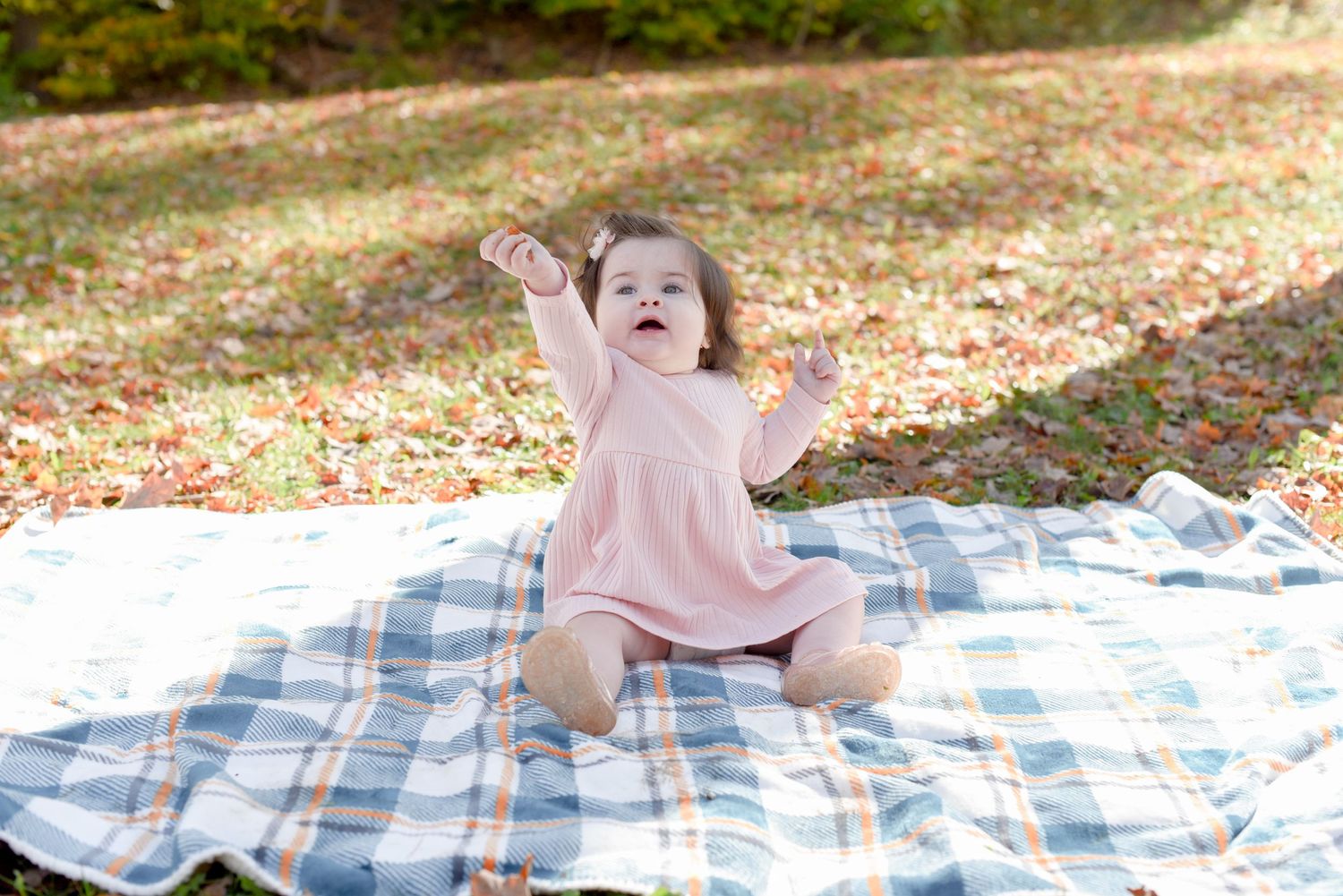 Mini Session